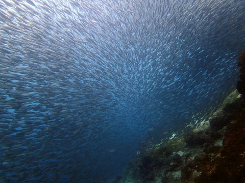 Messenger_creation_B6DE4713-74D7-4952-BD74-57842AF141D4