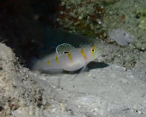 P1300218