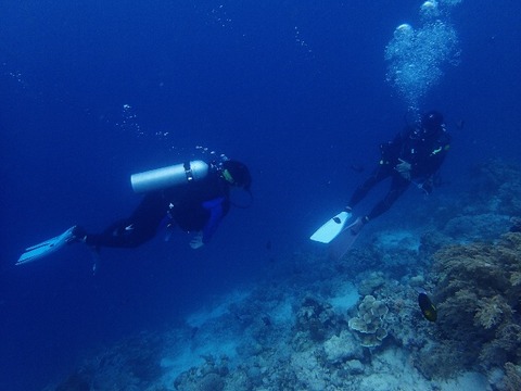 P5070892 (640x480)