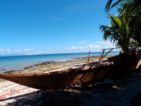 P1014721 (640x480)
