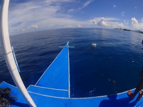 Messenger_creation_584883ED-20A4-4797-BD83-86A26432AC95