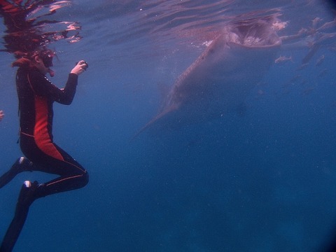 P2161006 (640x480)