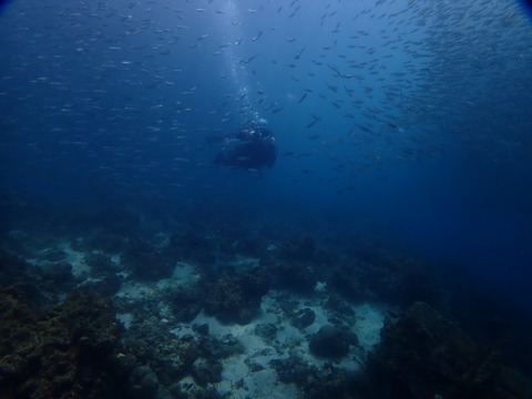 P2090020