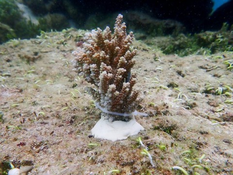 P3090071