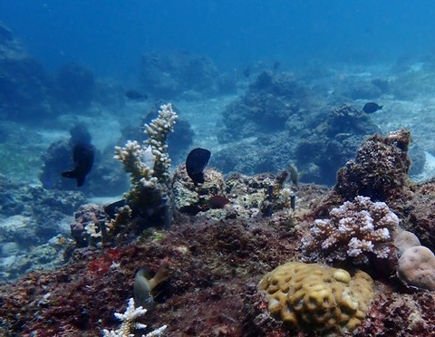 P6020031