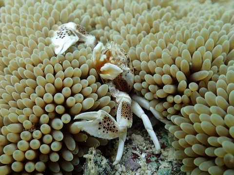 P5050251 (640x480)