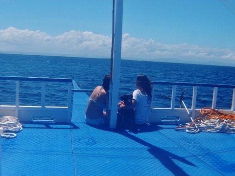 P3068703 (640x480)