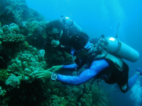 P1010010 (640x480)