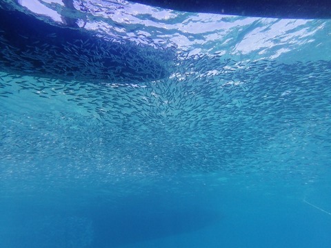 PB280025 (640x480)