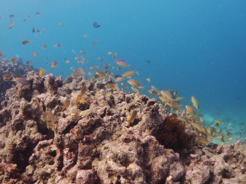 P1030724 (640x480)