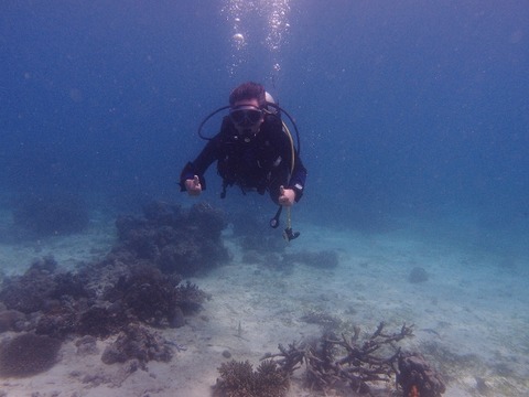 P1201923 (640x480)