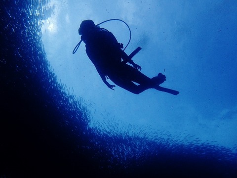 P8170282 (640x480)