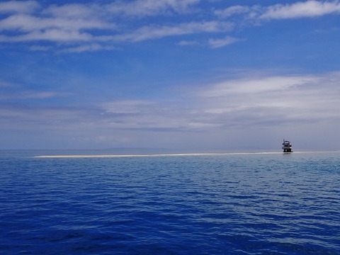 P4110023 (640x480)