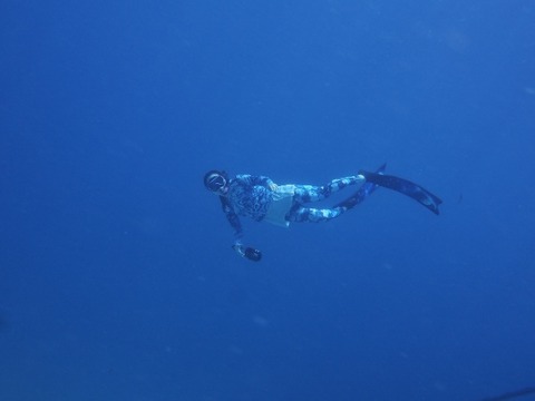P7250018 (640x480)