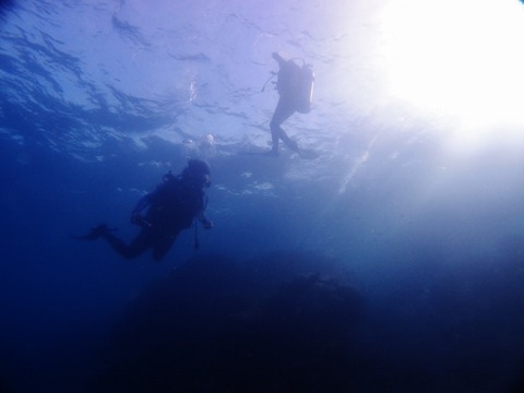 P1012370 (640x480)