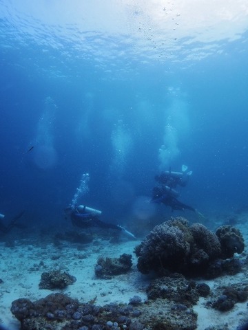 PA010015 (480x640)