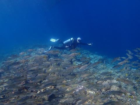 P4150058