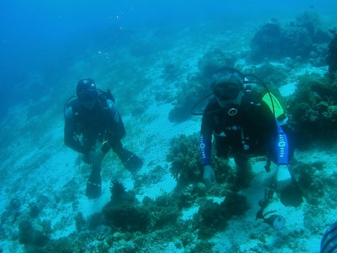 P1010006 (640x480)