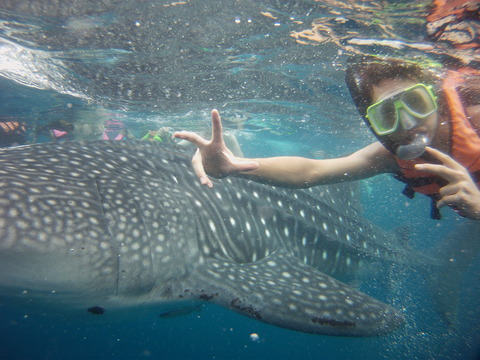 PICT0013