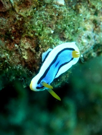 P7280028