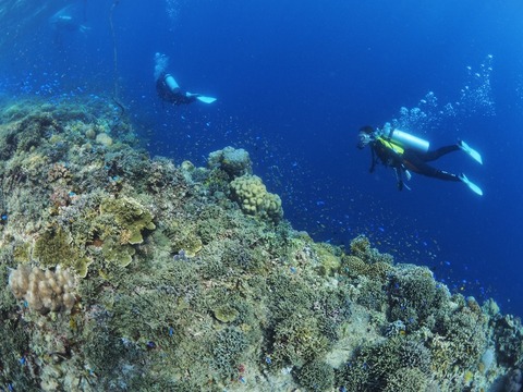 P8150541 (640x480)