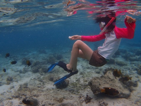 P4020774 (640x480)