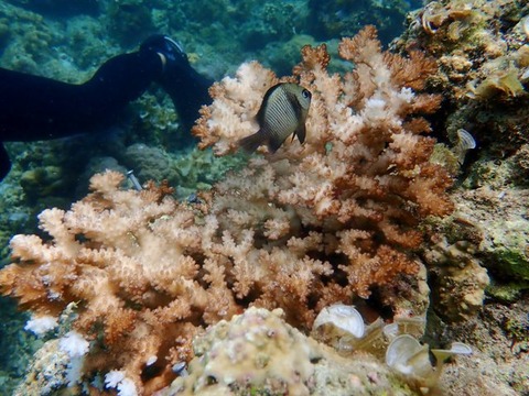 P6300079