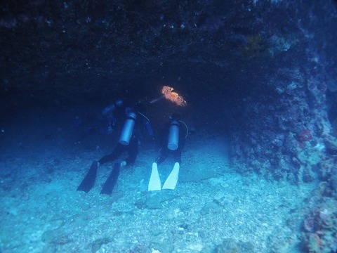 P1020473 (640x480)