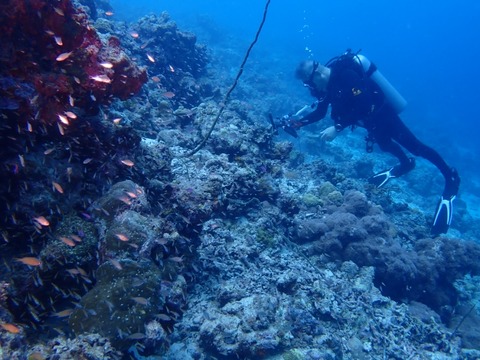 P5190061
