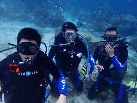 P4160330 (640x480)