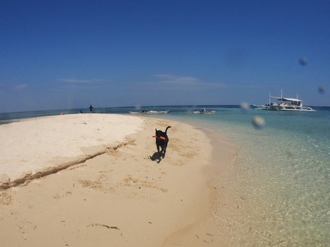 PB100165 (640x480)