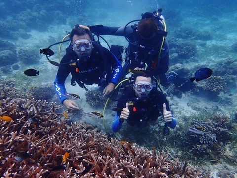 P1310013 (640x480)