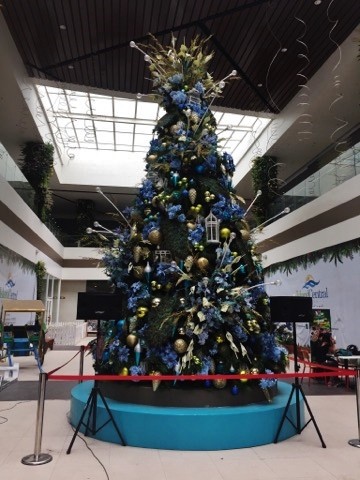 23023741_1489615944491489_40193756_n (360x480)
