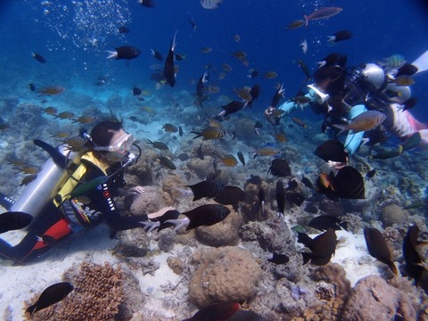P6203338 (640x480)