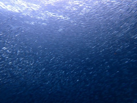 P2100108