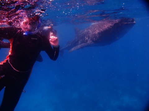 P3229115 (640x480)