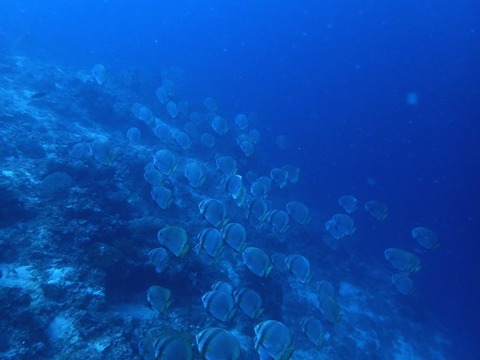 P1300205