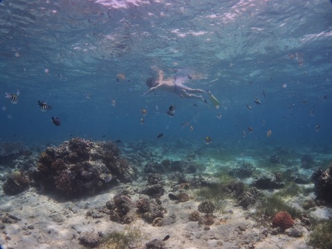 P9230069 (640x480)