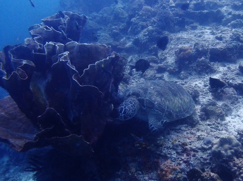 P1010831 (640x479)