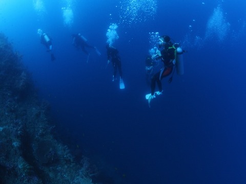 P8150453 (640x480)