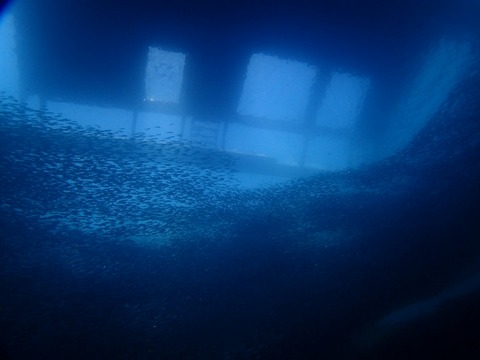 Messenger_creation_91A80723-BCF7-4E41-9E98-49AB39BDD03B