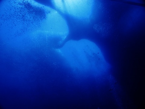 P1022040 (640x480)