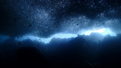 P1040822 (640x360)