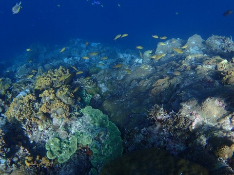 Messenger_creation_15CCAD60-9115-4FFC-A2E1-8A5FD0F8DCCF