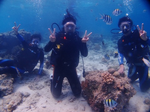 P4149732 (640x480)