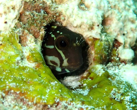 P1300171