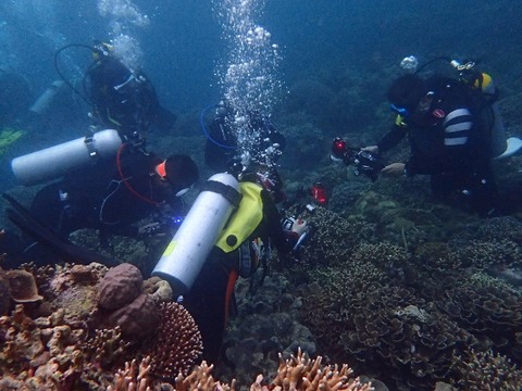 P1040015 (640x480)