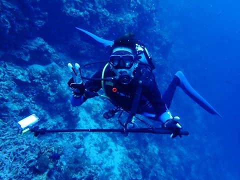 P8160101 (640x480)