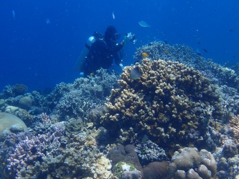 P7020027