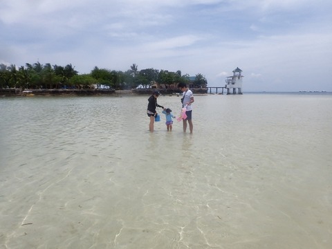 P9160068 (640x480)